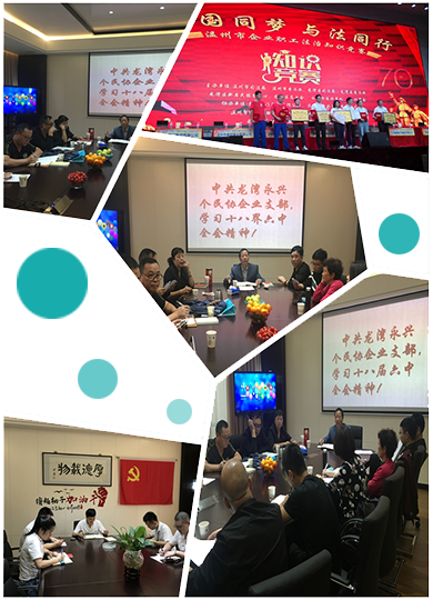 CHLG黨支部會議 CHLG黨支部會議