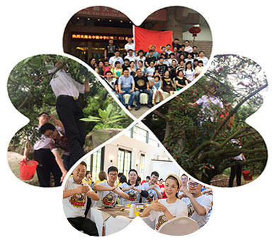 摘楊梅活動 摘楊梅活動